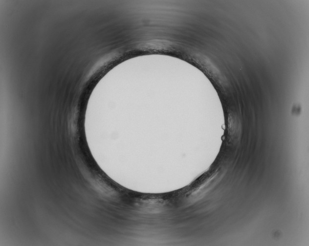 X0000101390396200808041022