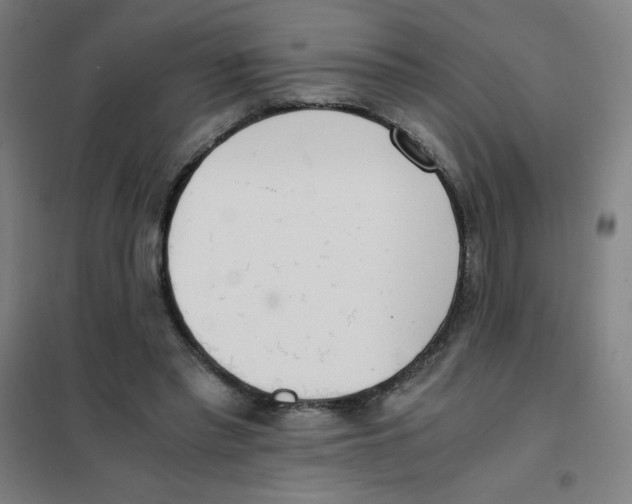 X0000101390397200808041022