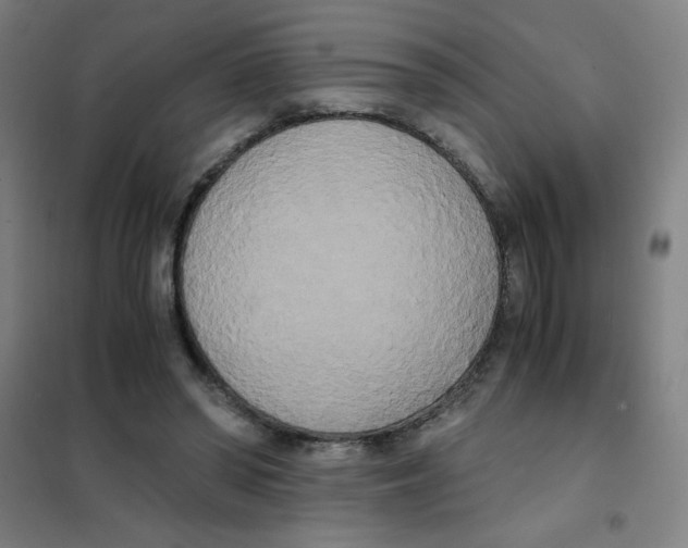 X0000101390398200808041022