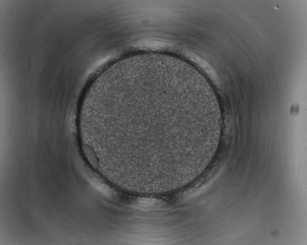 X0000101390399200808041022