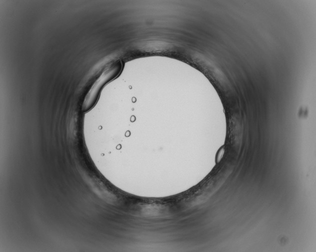 X0000101390400200808041022