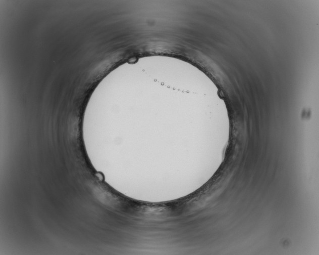 X0000101390401200808041022