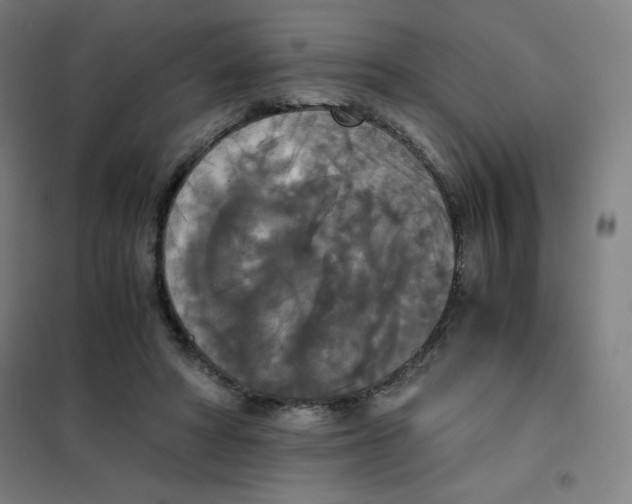 X0000101390402200808041022