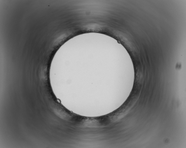 X0000101390403200808041022