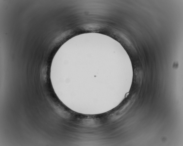 X0000101390404200808041022