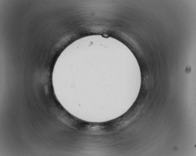 X0000101390407200808041022