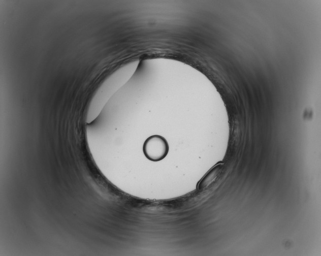 X0000101390408200808041022