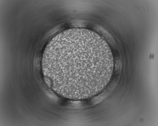X0000101390409200808041022