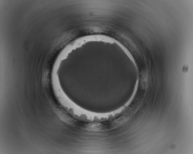 X0000101390410200808041022
