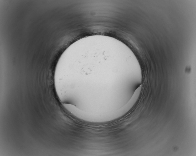 X0000101390411200808041021