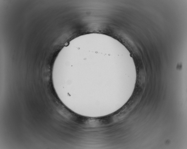 X0000101390413200808041021