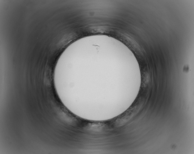 X0000101390414200808041021