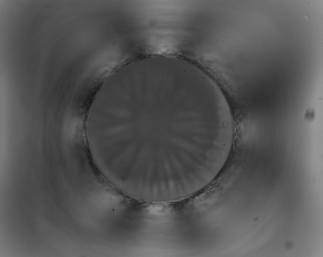 X0000101390415200808041021