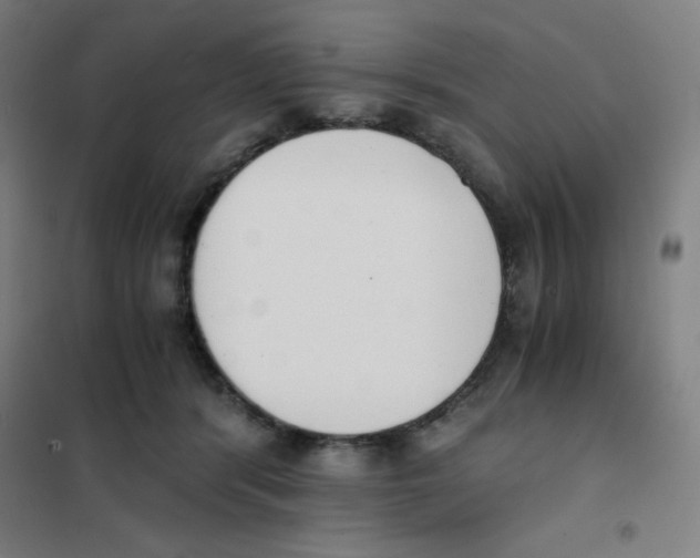 X0000101390416200808041021