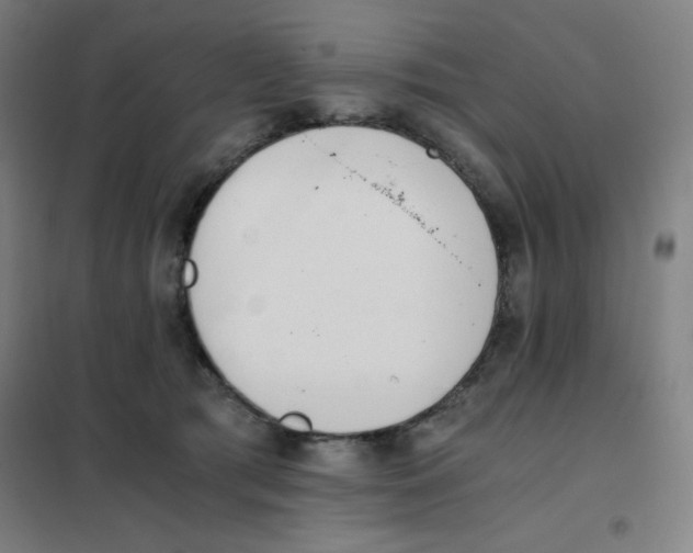 X0000101390417200808041021