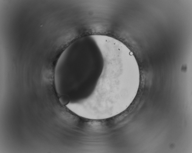 X0000101390419200808041021