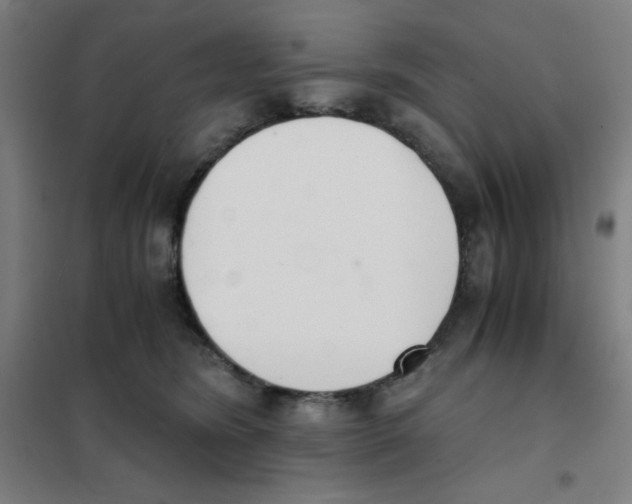 X0000101390420200808041021