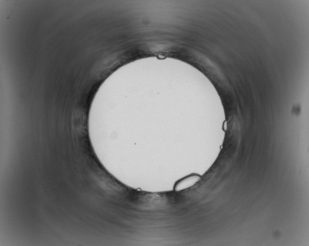 X0000101390421200808041021