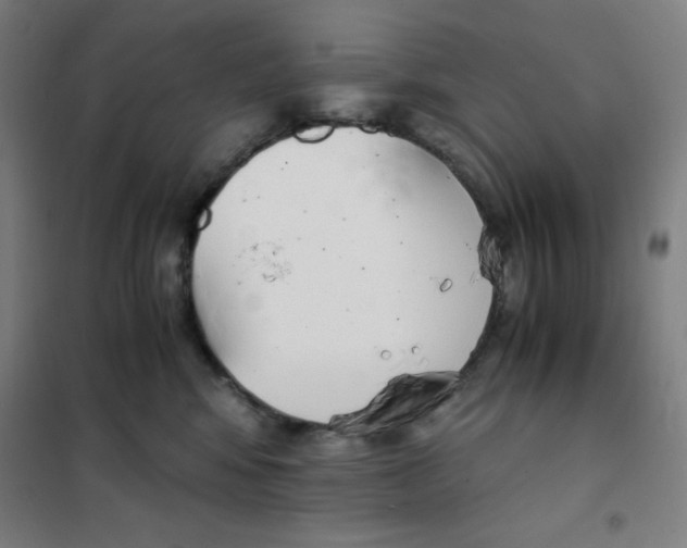 X0000101390424200808041021