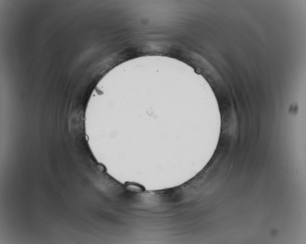 X0000101390425200808041021