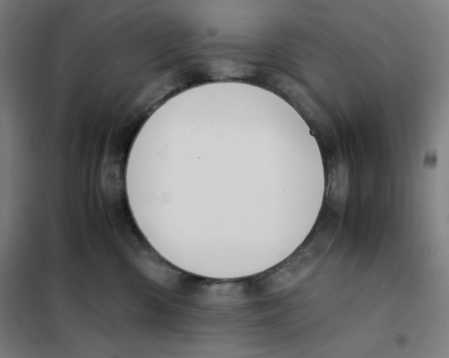 X0000101390426200808041021