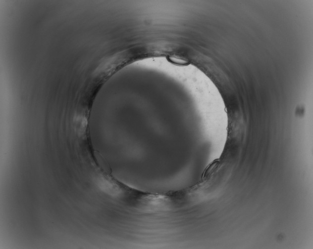X0000101390427200808041021
