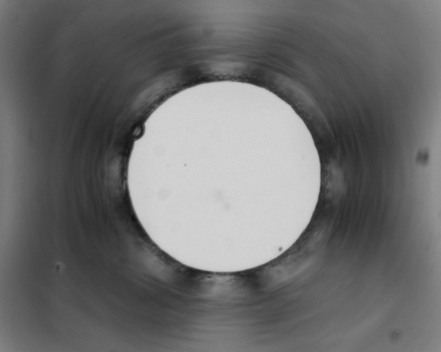 X0000101390428200808041021