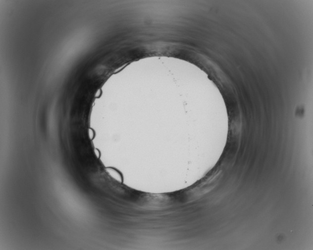 X0000101390429200808041021