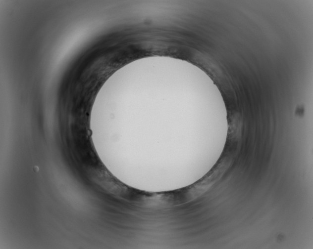 X0000101390430200808041021