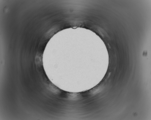 X0000101390432200808041021