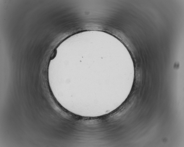 X0000101390433200808041020