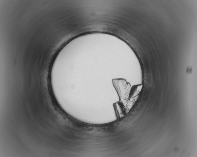 X0000101390434200808041020