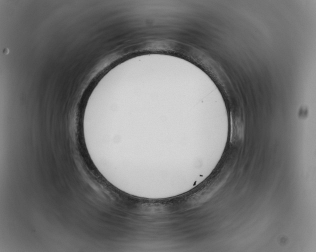 X0000101390435200808041020