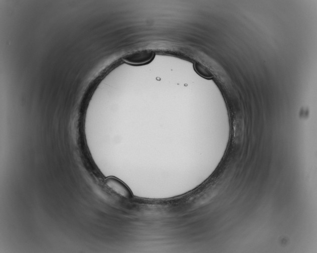 X0000101390436200808041020