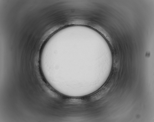 X0000101390437200808041020