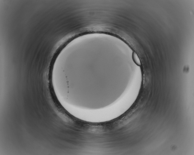 X0000101390438200808041020