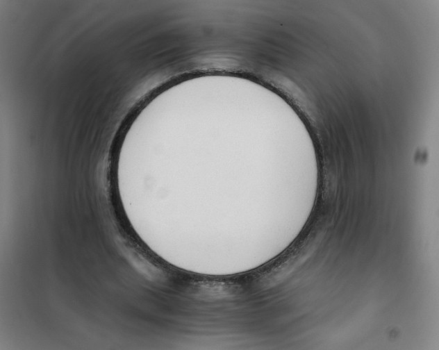 X0000101390439200808041020