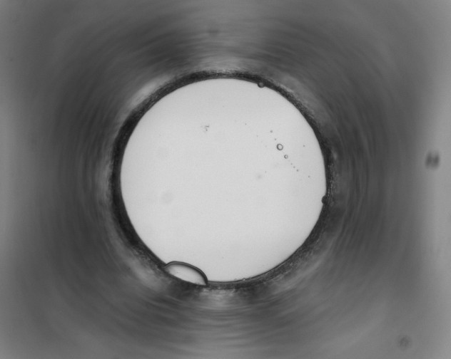X0000101390440200808041020