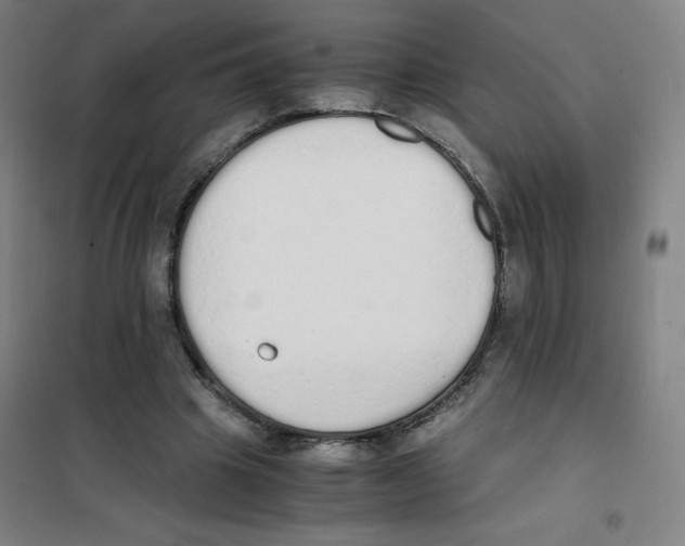 X0000101390441200808041020