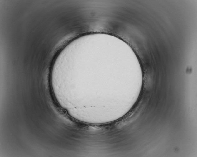 X0000101390442200808041021