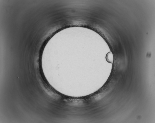 X0000101390443200808041021