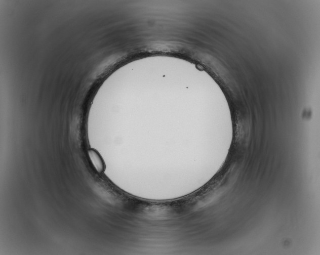 X0000101390444200808041021