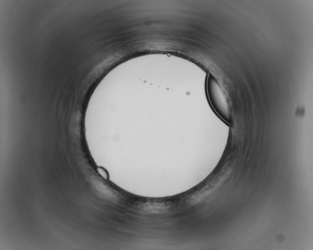 X0000101390445200808041021