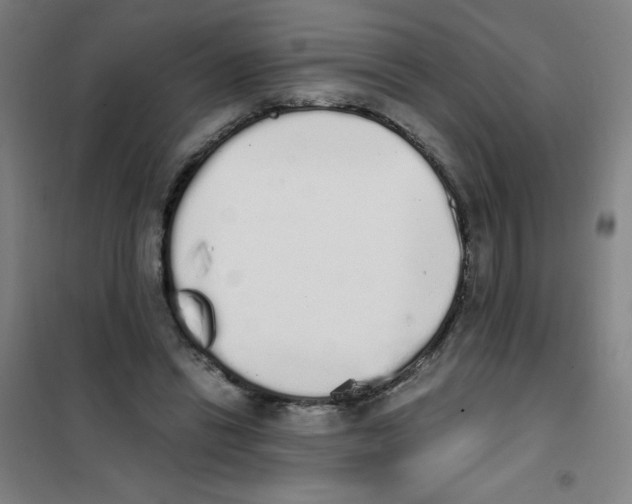 X0000101390446200808041021