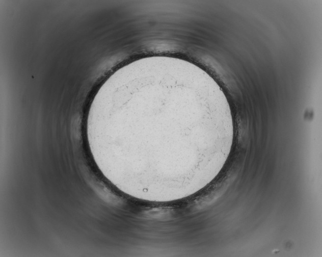 X0000101390447200808041021
