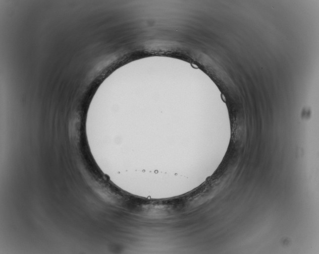 X0000101390448200808041021