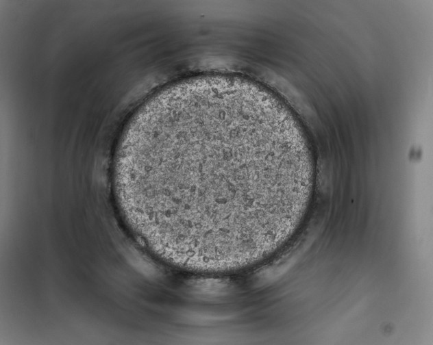 X0000101390449200808041021