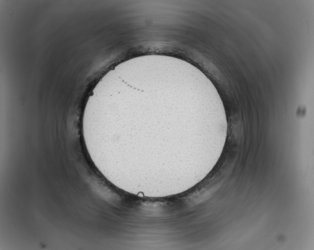 X0000101390450200808041021