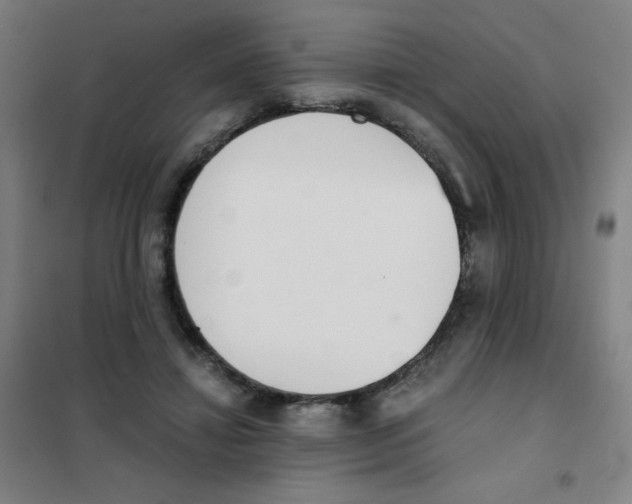 X0000101390452200808041021