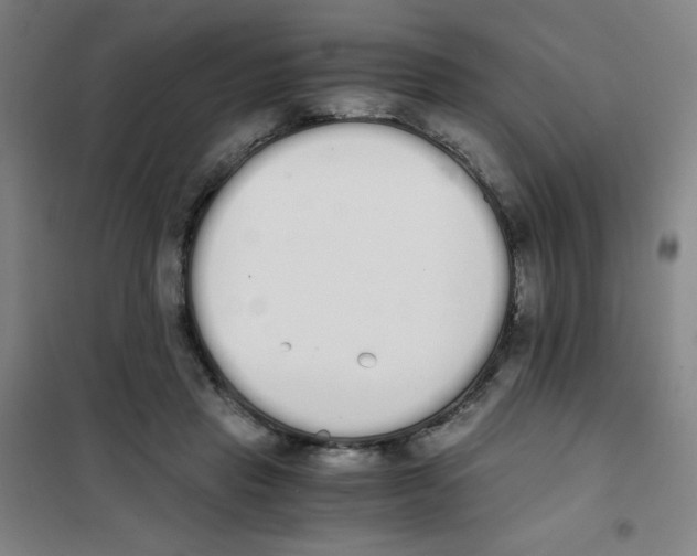 X0000101390453200808041021